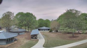 Weather camera view of Camp Twin Lakes - Will-a-Way.