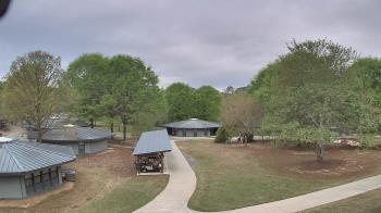 Weather camera view of Camp Twin Lakes - Will-a-Way.