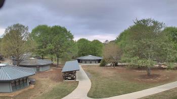 Weather camera view of Camp Twin Lakes - Will-a-Way.