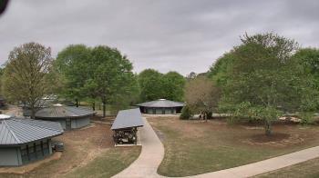 Weather camera view of Camp Twin Lakes - Will-a-Way.