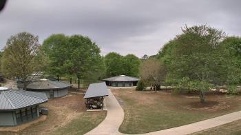 Weather camera view of Camp Twin Lakes - Will-a-Way.