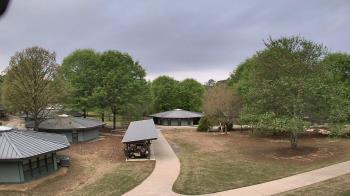 Weather camera view of Camp Twin Lakes - Will-a-Way.