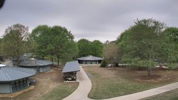 Weather camera view of Camp Twin Lakes - Will-a-Way.