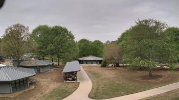 Weather camera view of Camp Twin Lakes - Will-a-Way.