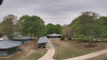 Weather camera view of Camp Twin Lakes - Will-a-Way.