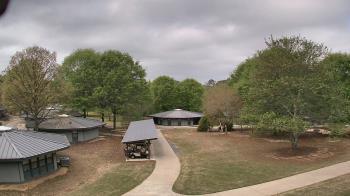 Weather camera view of Camp Twin Lakes - Will-a-Way.