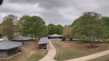 Weather camera view of Camp Twin Lakes - Will-a-Way.