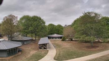 Weather camera view of Camp Twin Lakes - Will-a-Way.