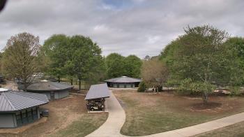 Weather camera view of Camp Twin Lakes - Will-a-Way.