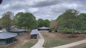 Weather camera view of Camp Twin Lakes - Will-a-Way.