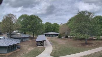 Weather camera view of Camp Twin Lakes - Will-a-Way.