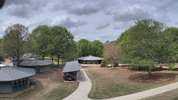 Weather camera view of Camp Twin Lakes - Will-a-Way.