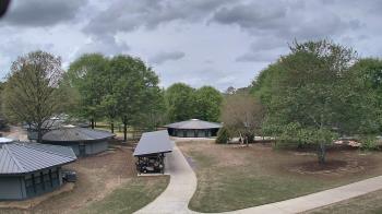 Weather camera view of Camp Twin Lakes - Will-a-Way.