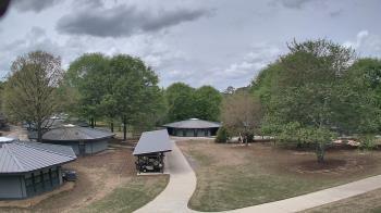 Weather camera view of Camp Twin Lakes - Will-a-Way.