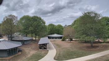 Weather camera view of Camp Twin Lakes - Will-a-Way.