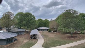 Weather camera view of Camp Twin Lakes - Will-a-Way.