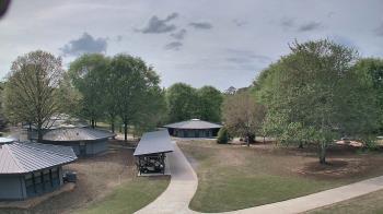 Weather camera view of Camp Twin Lakes - Will-a-Way.