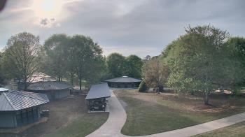 Weather camera view of Camp Twin Lakes - Will-a-Way.