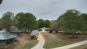 Weather camera view of Camp Twin Lakes - Will-a-Way.