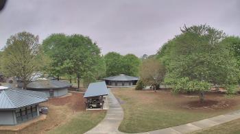 Weather camera view of Camp Twin Lakes - Will-a-Way.
