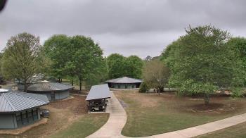 Weather camera view of Camp Twin Lakes - Will-a-Way.