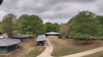 Weather camera view of Camp Twin Lakes - Will-a-Way.