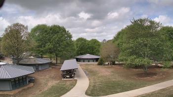 Weather camera view of Camp Twin Lakes - Will-a-Way.