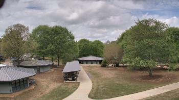 Weather camera view of Camp Twin Lakes - Will-a-Way.