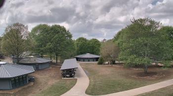 Weather camera view of Camp Twin Lakes - Will-a-Way.