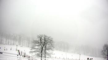 Weather camera view of Wintergreen Mtn. at 3600 ft. elev..