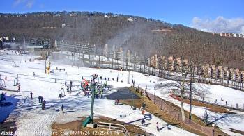 Weather camera view of Wintergreen Mtn. at 3600 ft. elev..
