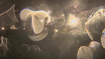 Weather camera view of Trinity MS.