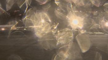 Weather camera view of Trinity MS.