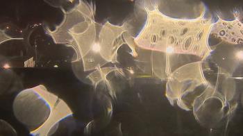 Weather camera view of Trinity MS.