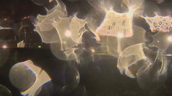 Weather camera view of Trinity MS.