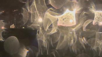 Weather camera view of Trinity MS.