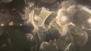 Weather camera view of Trinity MS.