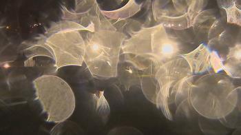 Weather camera view of Trinity MS.