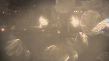 Weather camera view of Trinity MS.