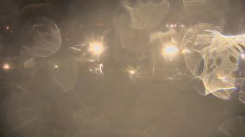 Weather camera view of Trinity MS.