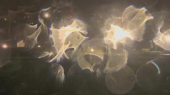 Weather camera view of Trinity MS.