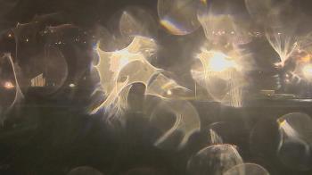 Weather camera view of Trinity MS.