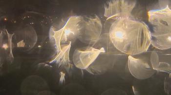 Weather camera view of Trinity MS.