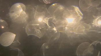 Weather camera view of Trinity MS.