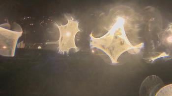 Weather camera view of Trinity MS.