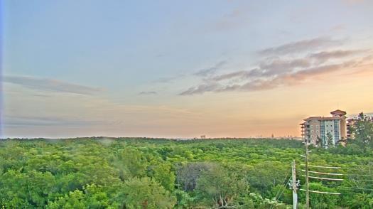 Weather camera view of WTSP-TV.