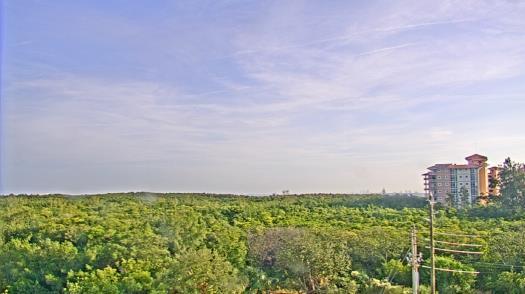 Weather camera view of WTSP-TV.