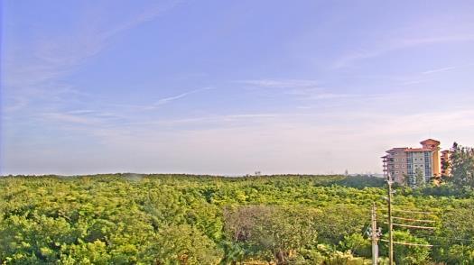 Weather camera view of WTSP-TV.