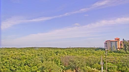 Weather camera view of WTSP-TV.