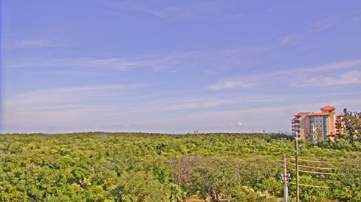 Weather camera view of WTSP-TV.